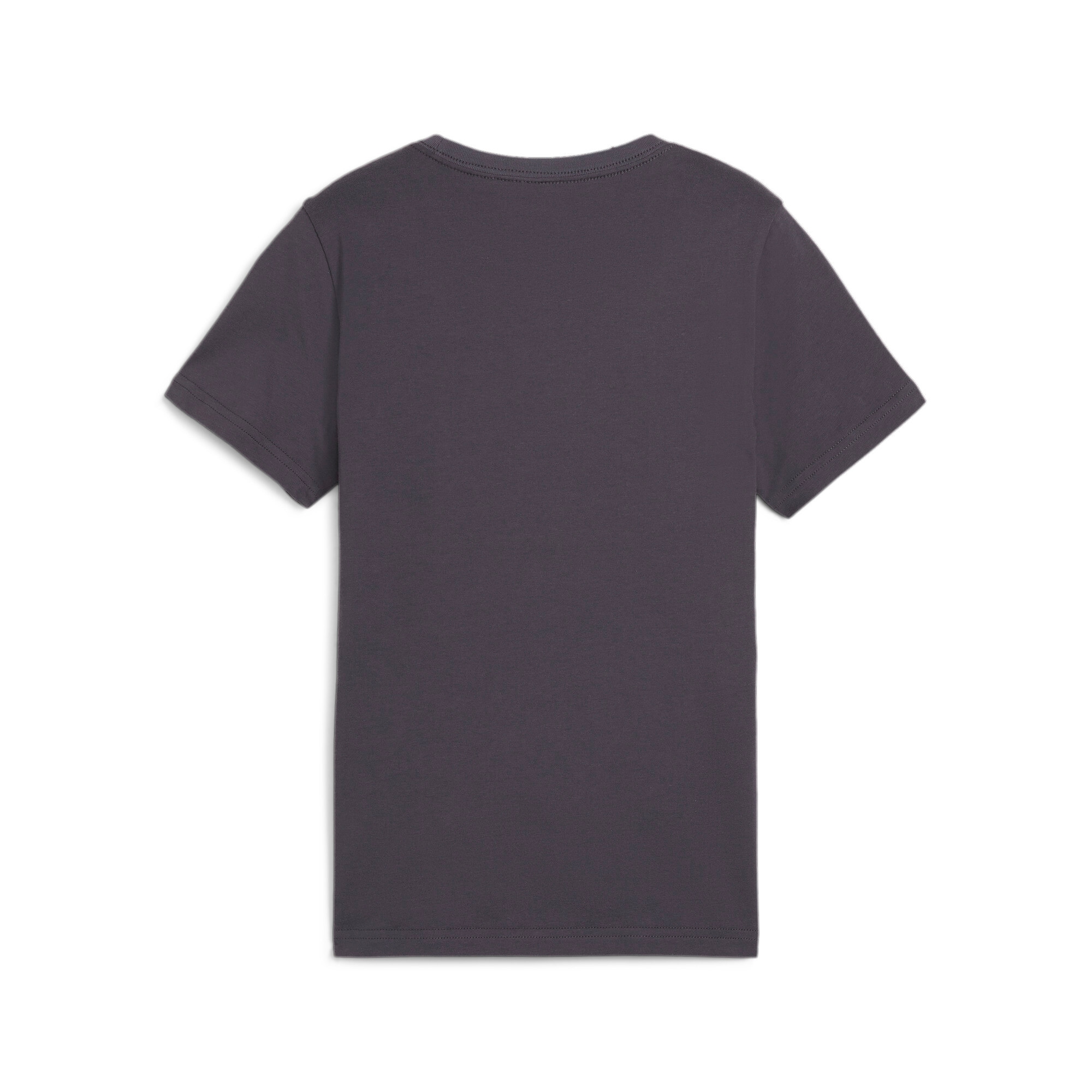 PUMA T-Shirt »ESS+ MID 90S GRAPHIC TEE B«