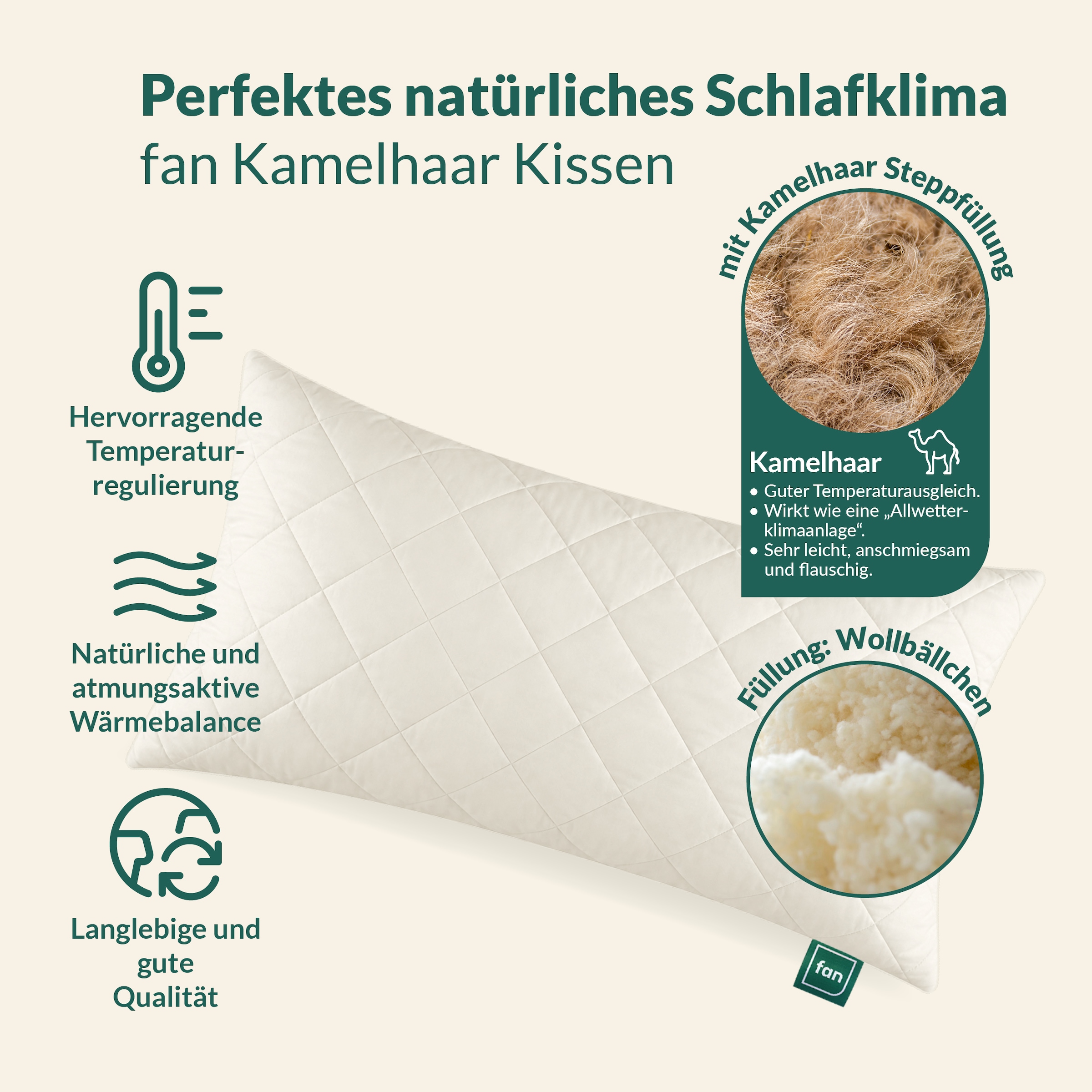 fan Naturfaserkissen »Gobi, Kopfkissen in 40x80 & 80x80 cm, Made in Germany« Füllung: 97Wolle3sonstigeFasern 1 Stk. tlg. Kissenbezug aus Baumwolle mit Kamelhaar versteppt, Füllung aus Wolle