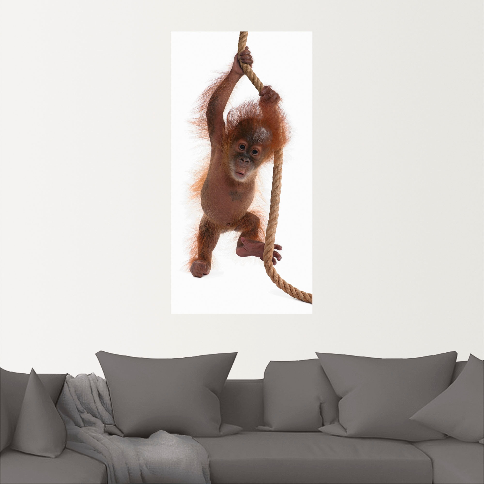 Artland Wandbild »Baby Orang Utan hängt am Seil I«, Wildtiere, (1 St.), als Alubild, Leinwandbild, Wandaufkleber oder Poster in versch. Größen