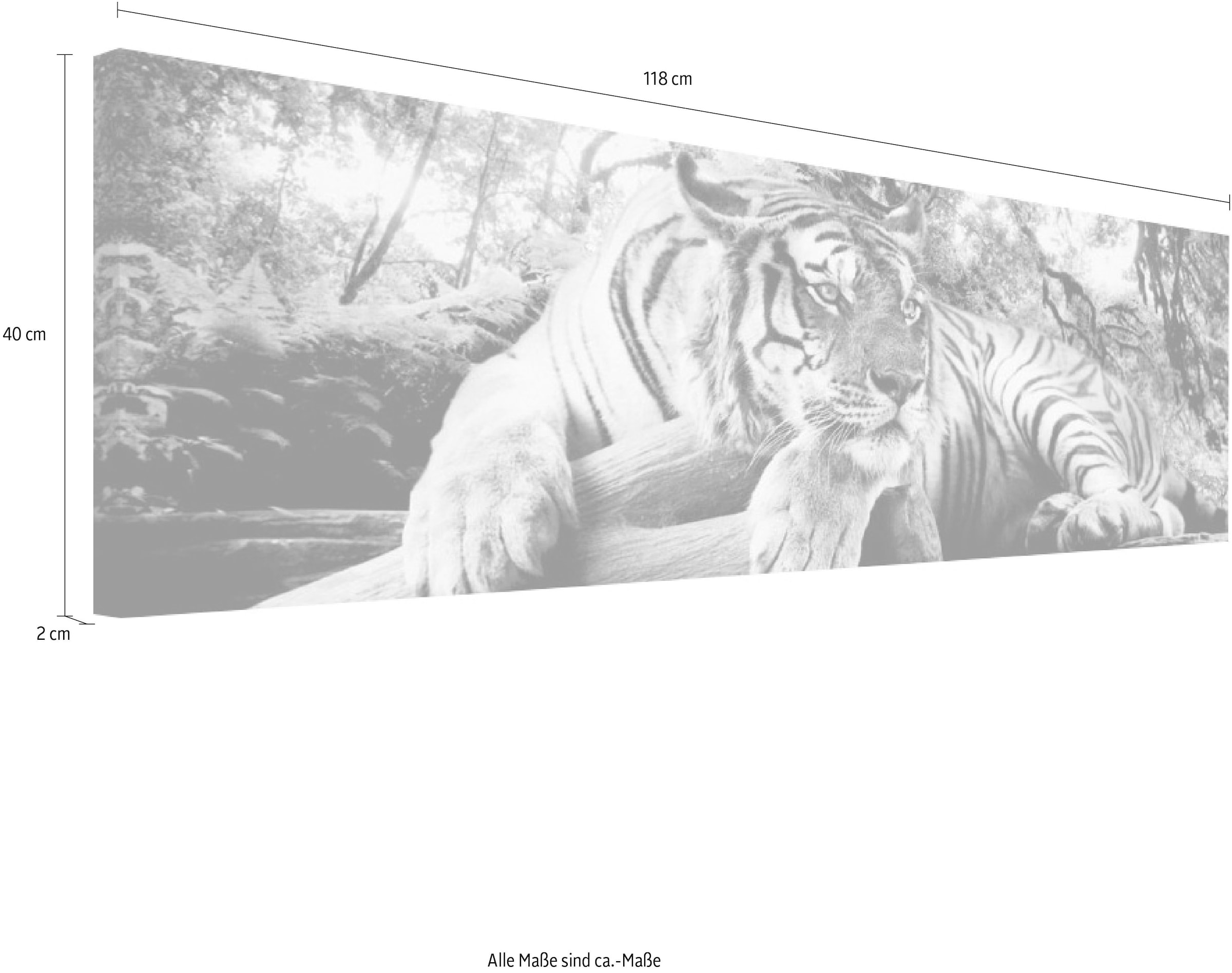 Raubtier Wohnzimmer Wandbild Wandbild bestellen online - Wandbild« Tiger - »Tigerblick OTTO - bei Wandbild Reinders!