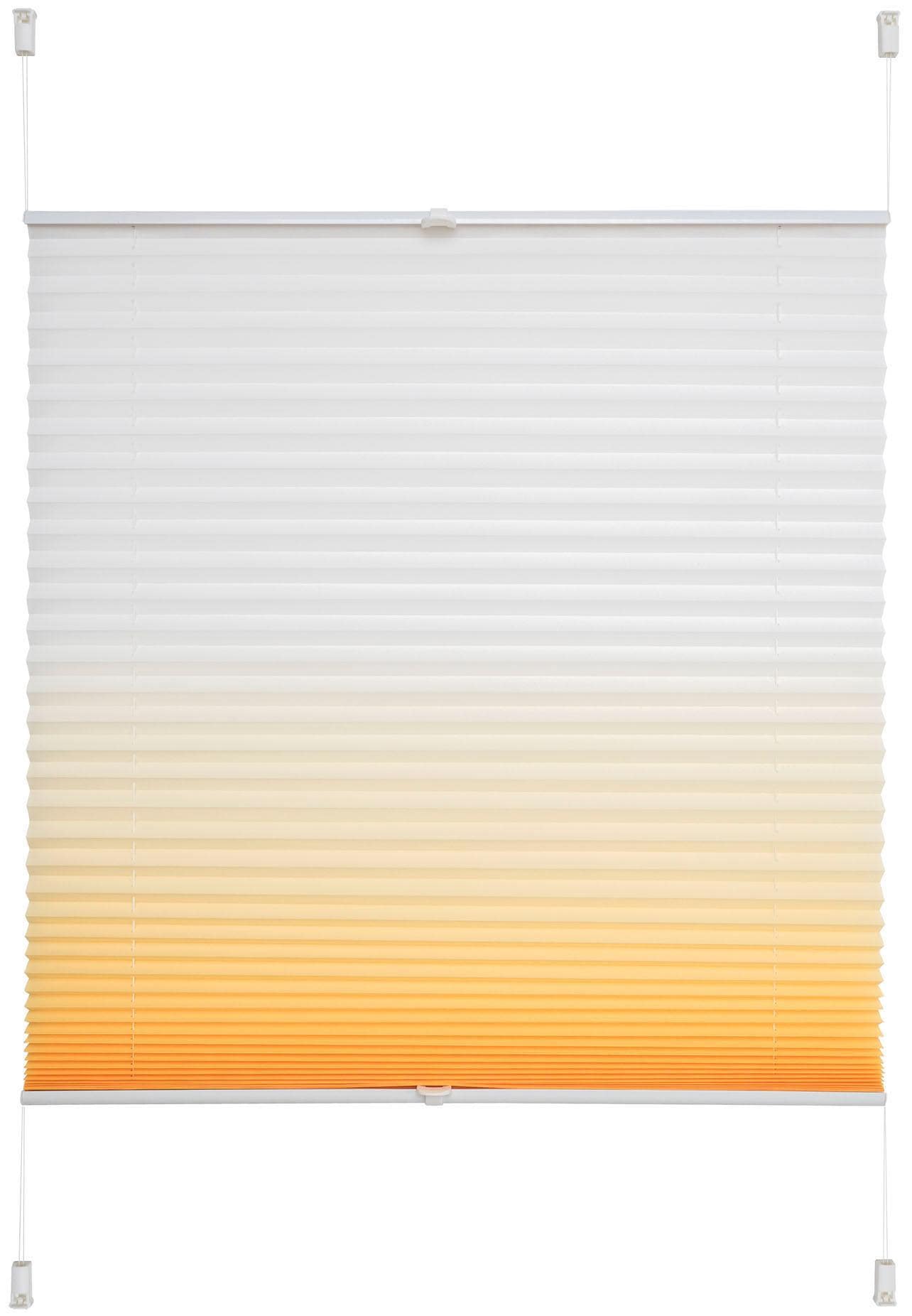 Liedeco Plissee »Farbverlauf« Lichtschutz ohne Bohren verspannt