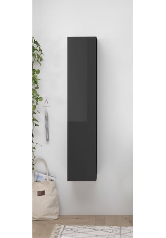 LC Hängeschrank, Höhe 138 cm kaufen LC Hängeschrank, Höhe 138 cm kaufen