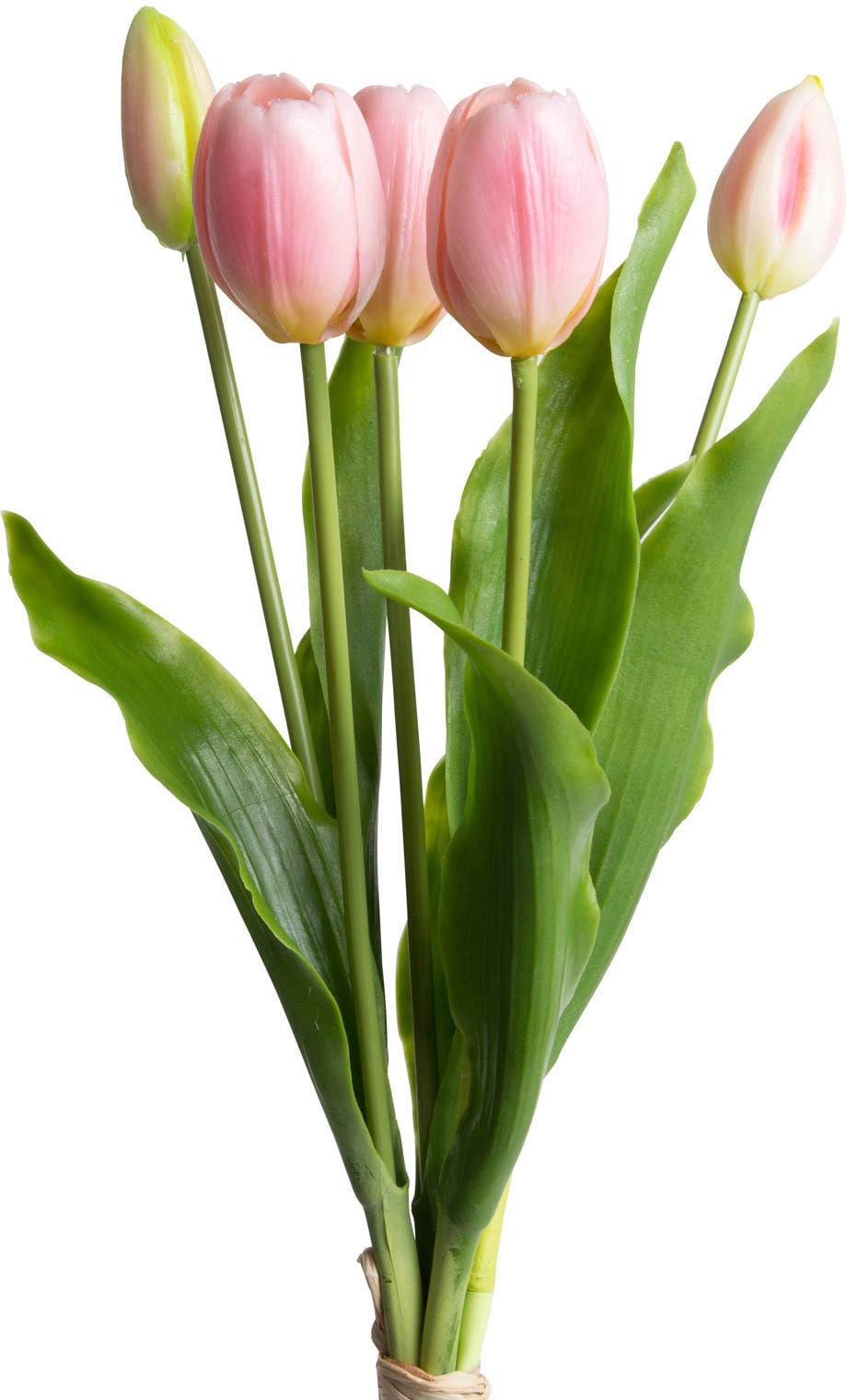 my home Kunstblume »Tulpenbündel Holland real Touch«