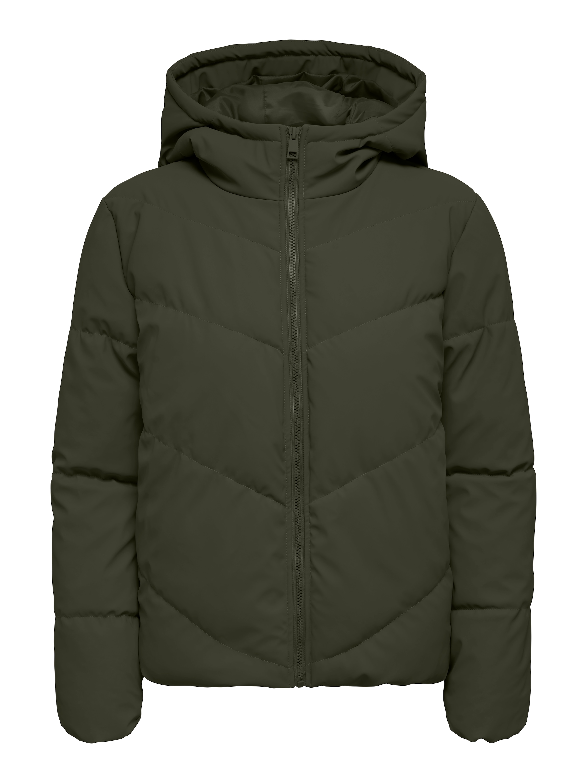 JDY Steppjacke »JDYARNHEM WATER REP SHORT PUFFA OTW NOOS«, mit Kapuze