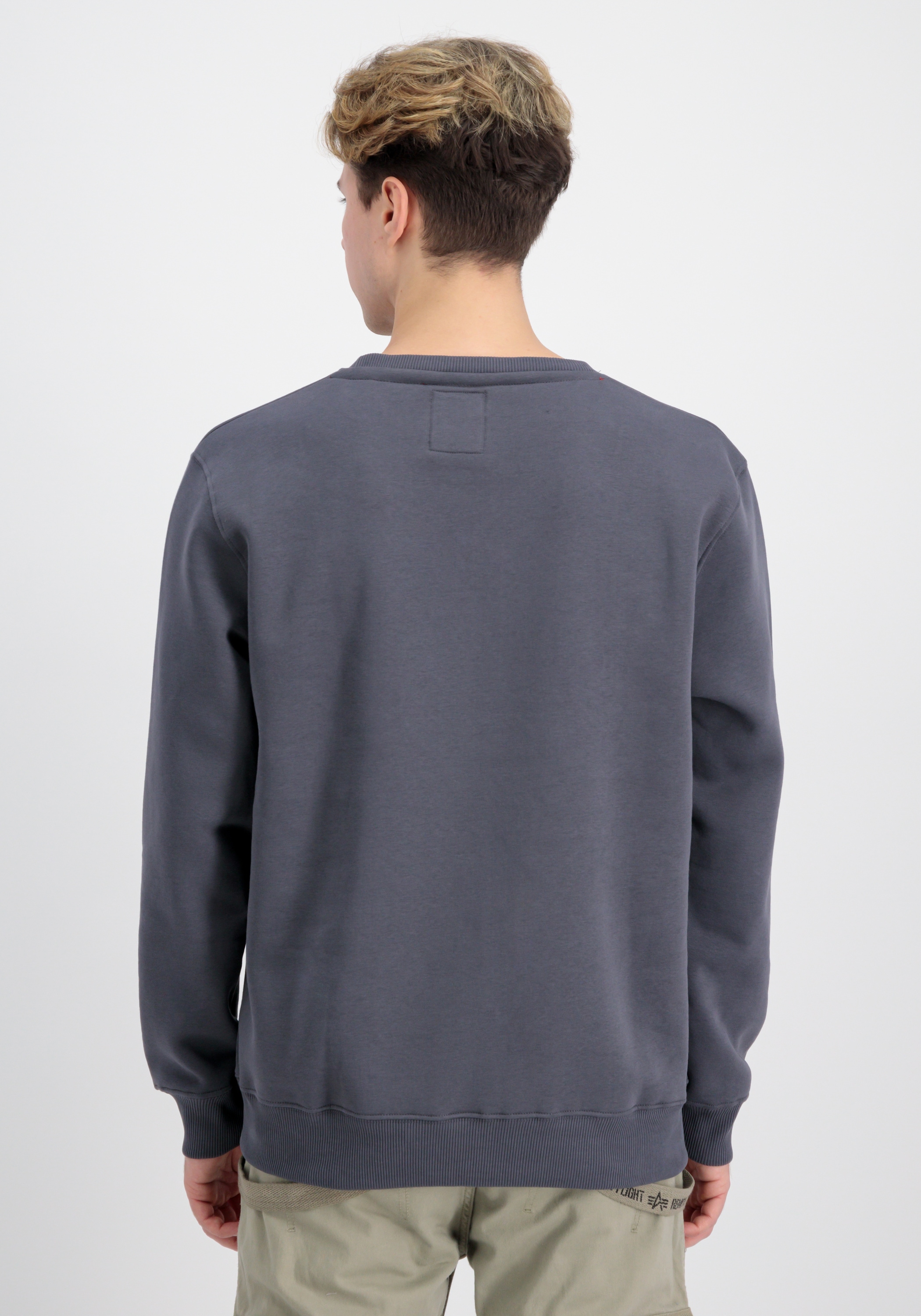 Alpha Industries Sweater »Alpha Industries Men - Sweatshirts Rainbow Refl. Label Sweater«