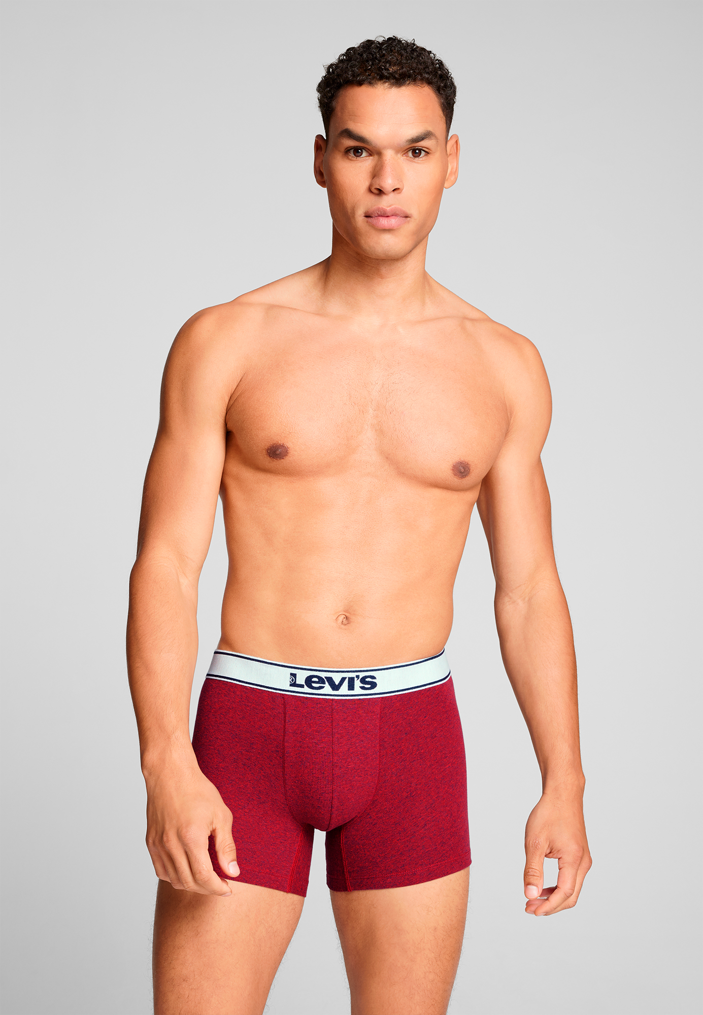 Levi's® Boxershorts »LEVIS MEN VNTG HTR BOXER BRIEF ORG CO 2P«, (2er Pack), mit breitem Logobund