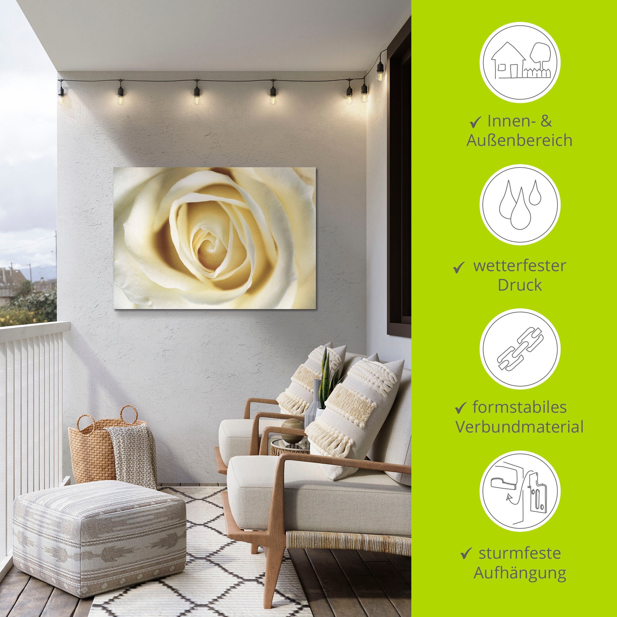 Artland Wandbild »Weiße Rose«, Blumen, (1 St.), als Alubild, Outdoorbild, Leinwandbild in verschied. Größen