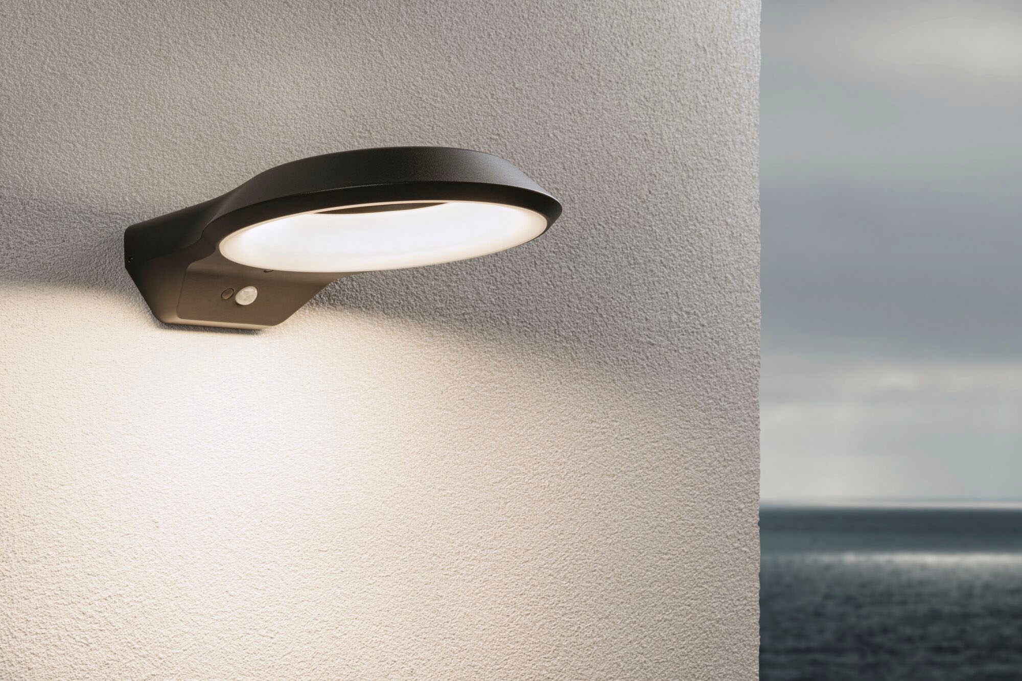Paulmann LED Außen-Wandleuchte »Anela 230V anthrazit IP44«, 1 flammig