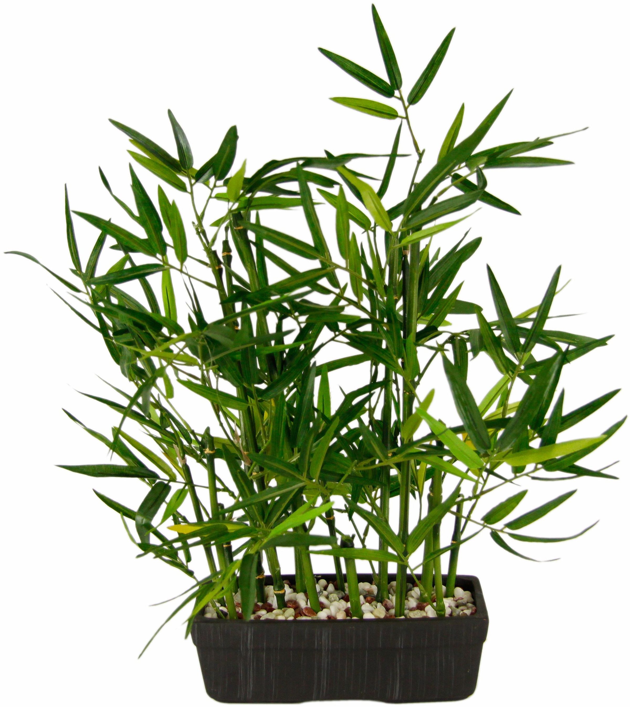 I.GE.A. Kunstpflanze »Bambus«, (1 St.) kaufen OTTO bei