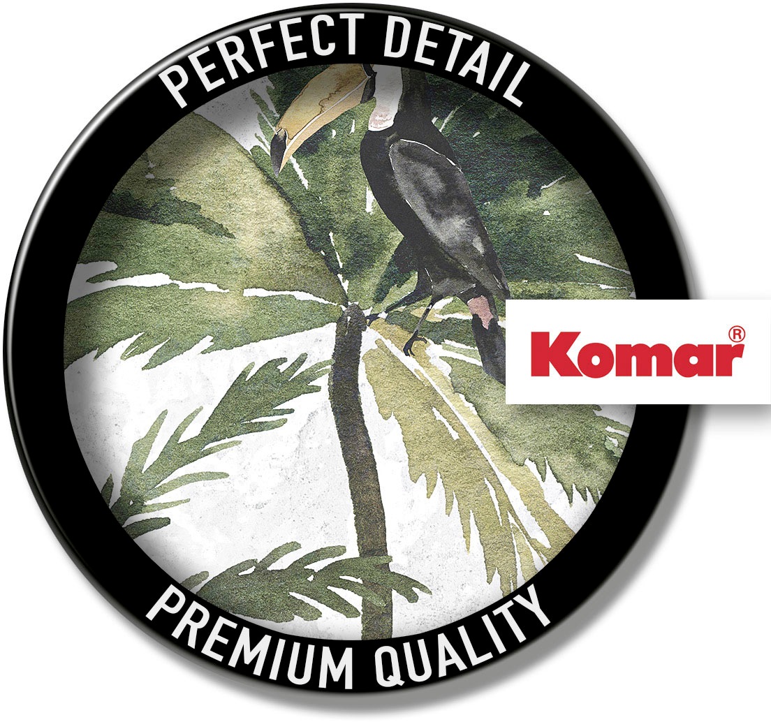 Komar Bild »Tropical Toucan« Natur 1 Stk. tlg. Wandbild zur Dekoration - ohne Rahmen