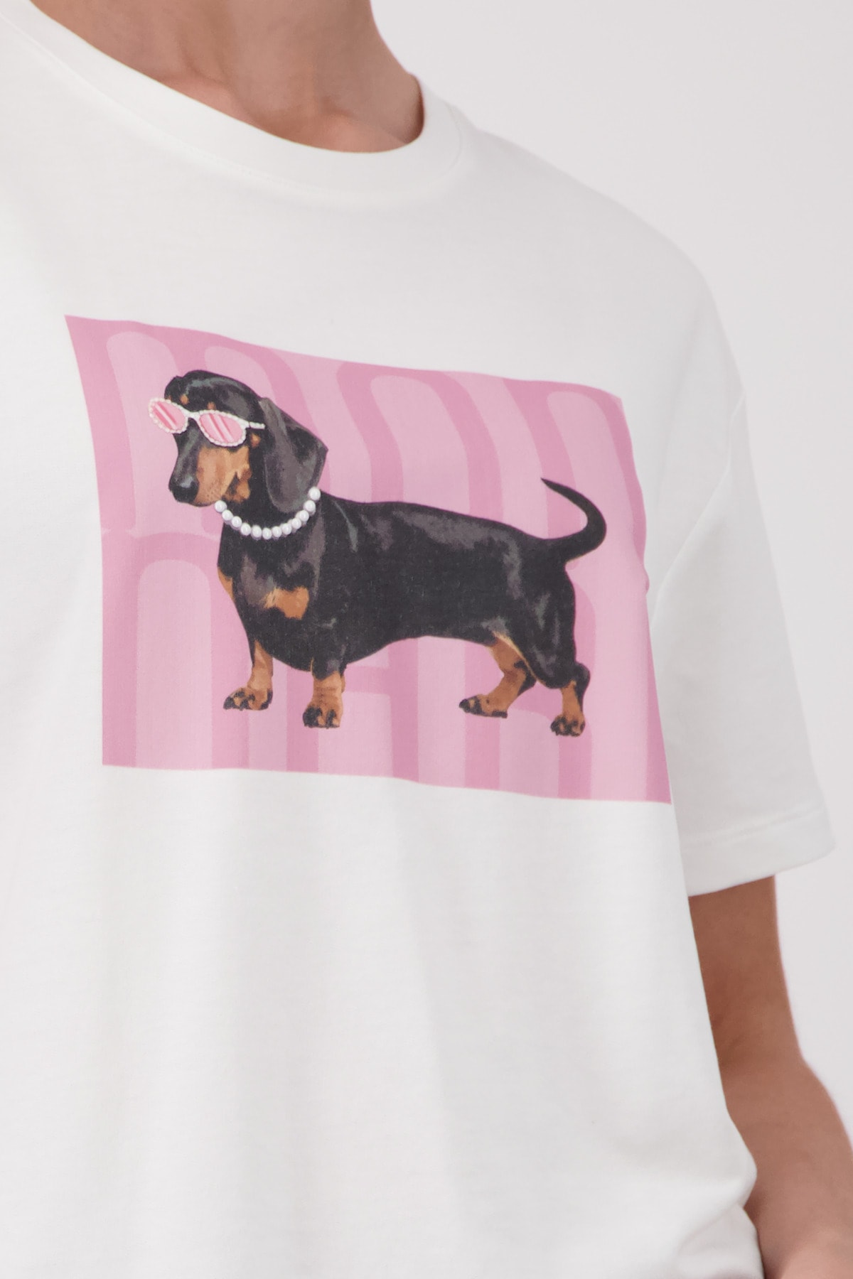 Monari T-Shirt »Shirt Dackel« Regular fit mit Dackelprint