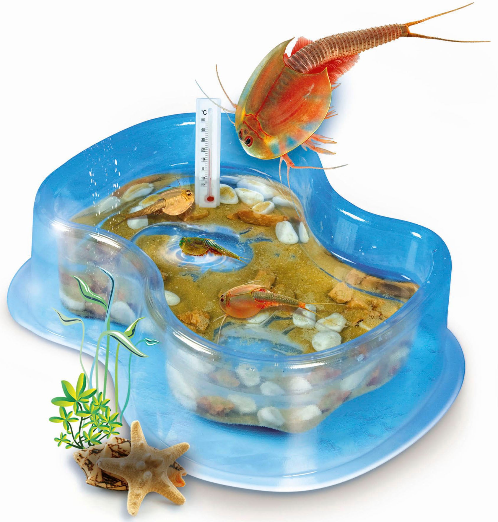 Clementoni® Experimentierkasten »Galileo, Original Triops Starter-Set«, Made in Europe