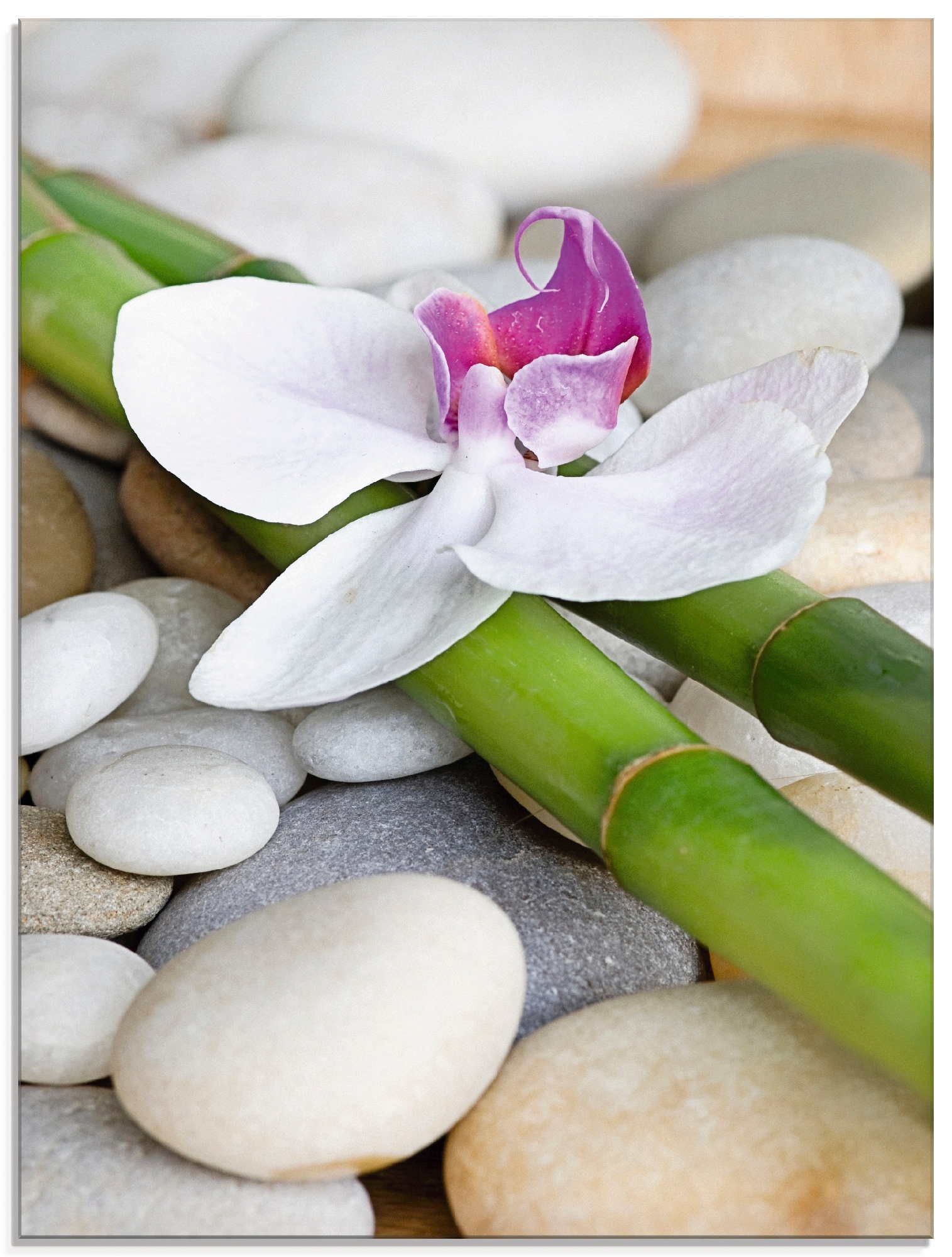 Glasbild »Zen Orchidee«, Zen, (1 St.), in verschiedenen Größen