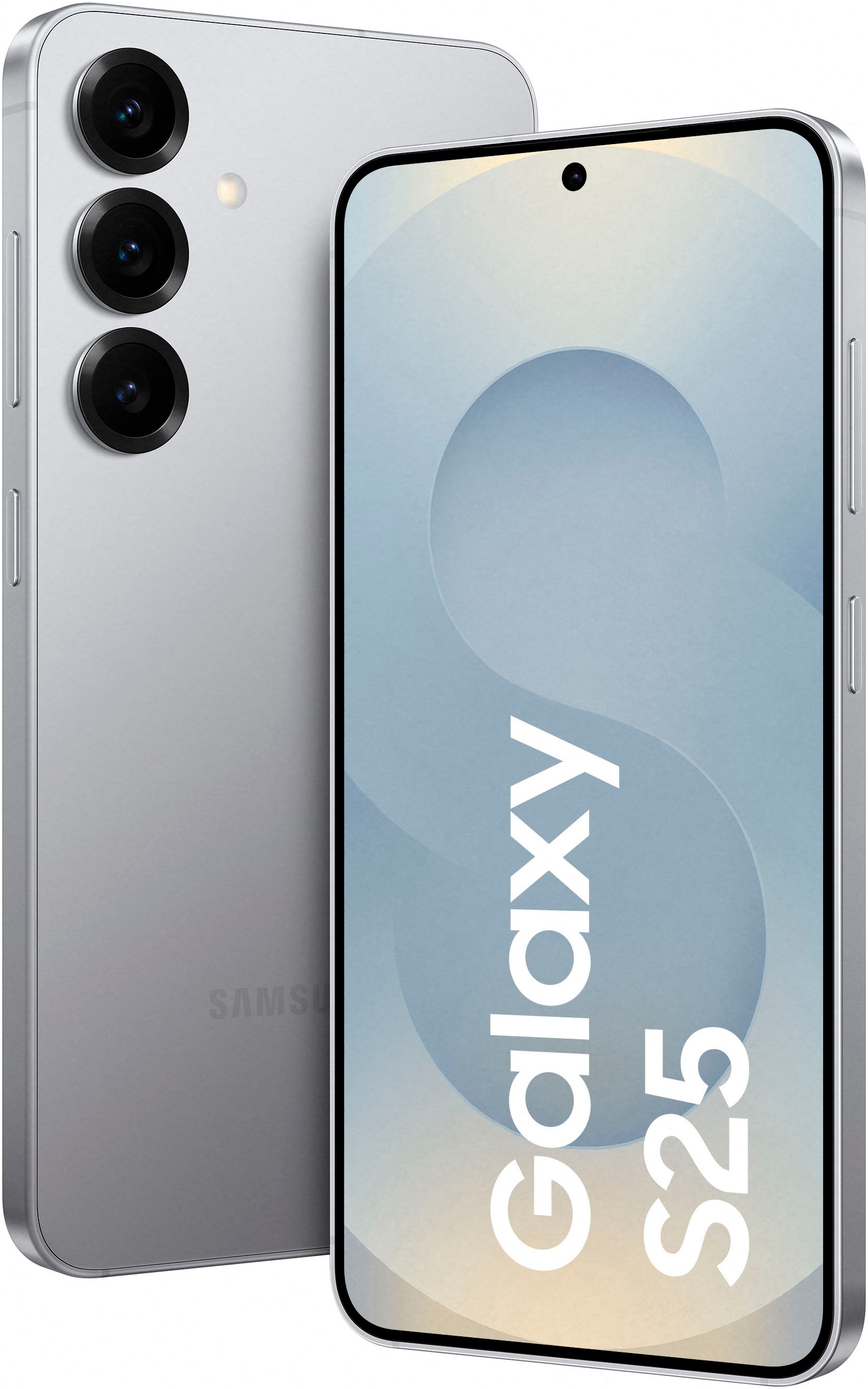 Samsung Smartphone »Galaxy S25« Silver Enterprise Edition