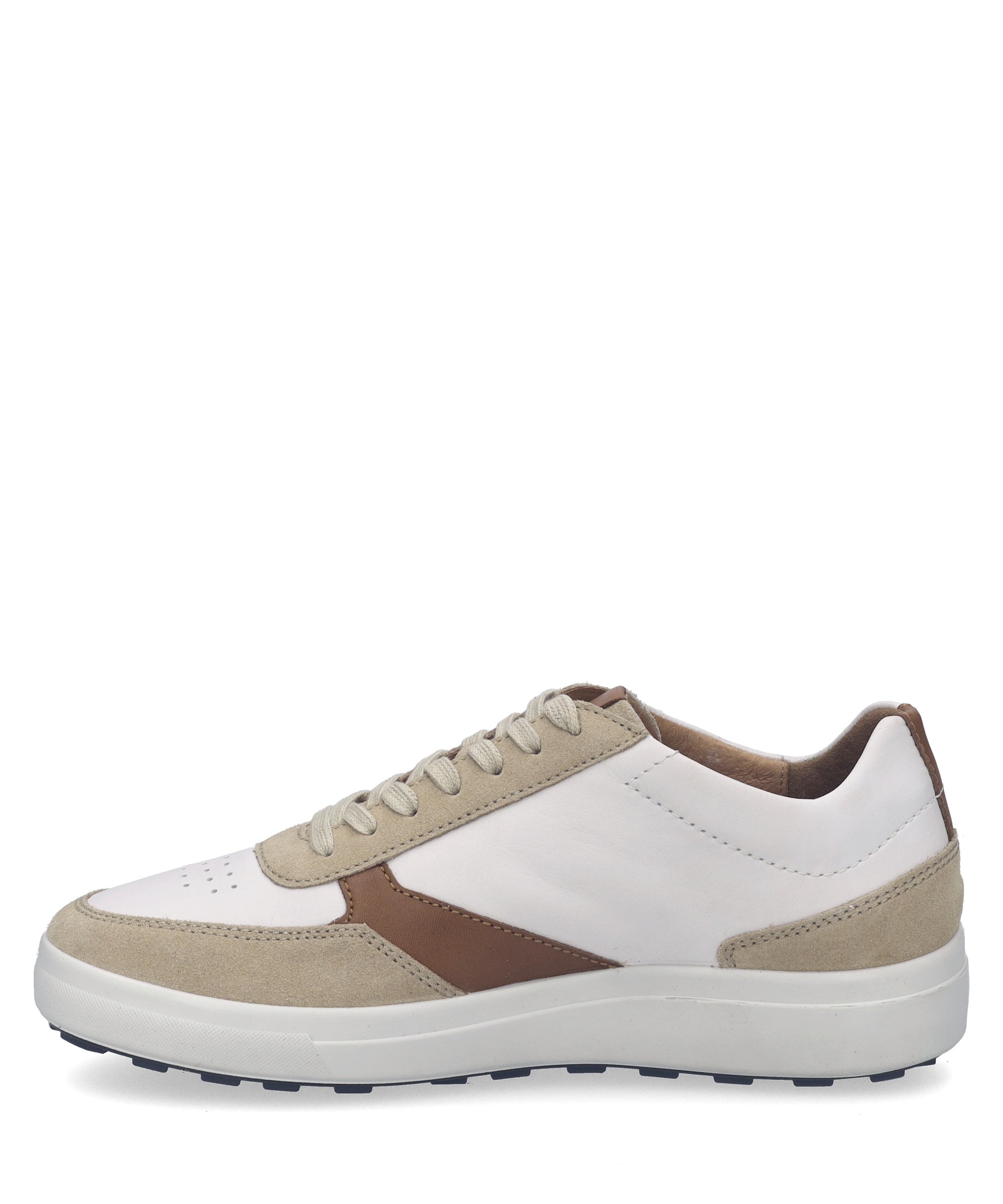 Josef Seibel Sneaker »Maddox 11, cashmere-kombi«