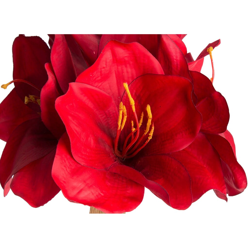 Botanic-Haus Kunstblume »Amaryllis«