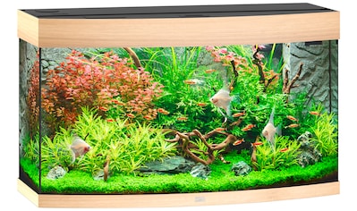 JUWEL AQUARIEN Aquarium »Vision 180 LED«, 180 Liter, BxTxH: 92x41x55 cm kaufen