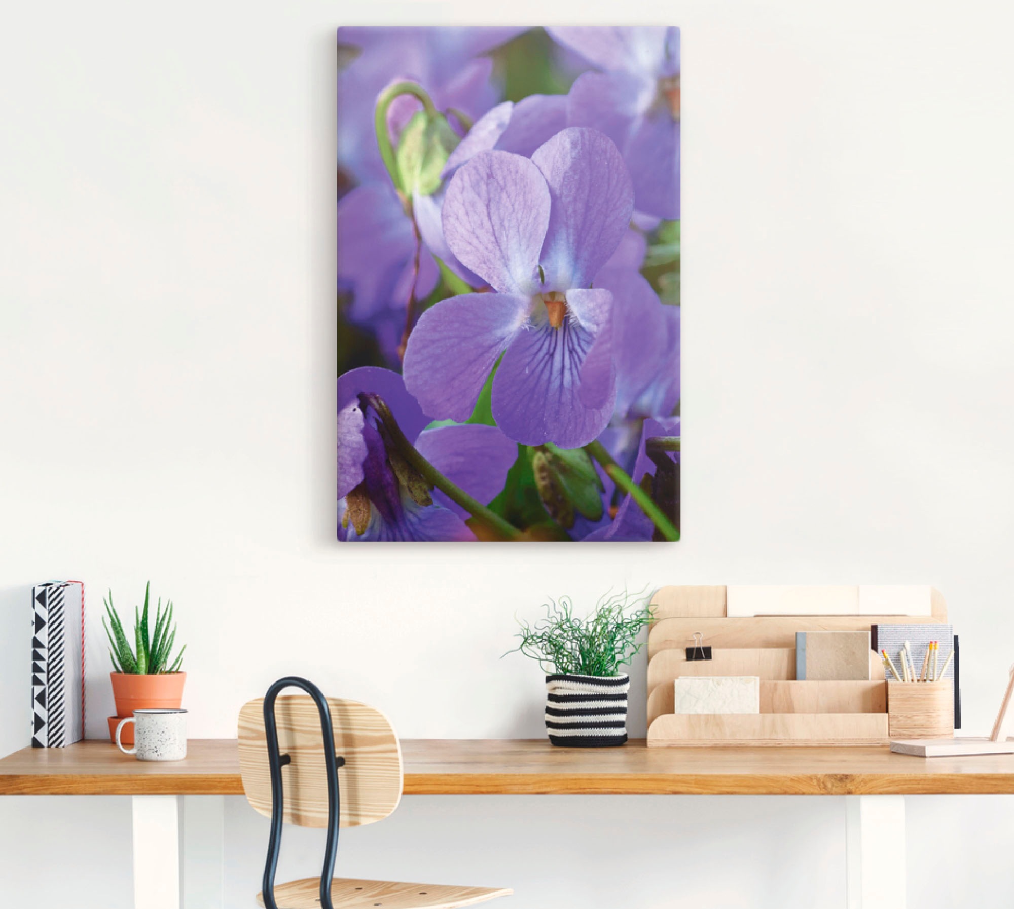 Alubild, oder als versch. Wandaufkleber »Veilchen«, (1 Blumen, in Artland bei Größen Poster St.), OTTO Leinwandbild, Wandbild