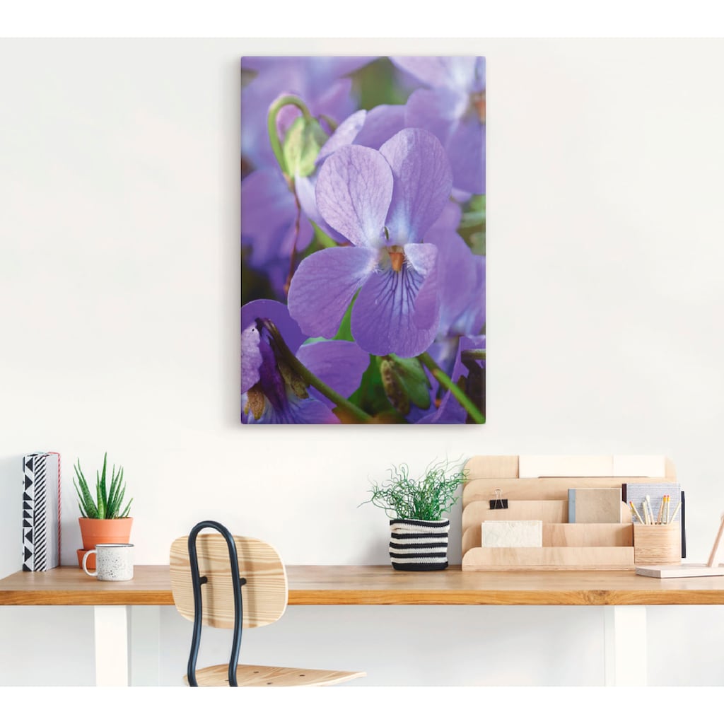 Artland Leinwandbild »Veilchen«, Blumen, (1 St.), auf Keilrahmen gespannt