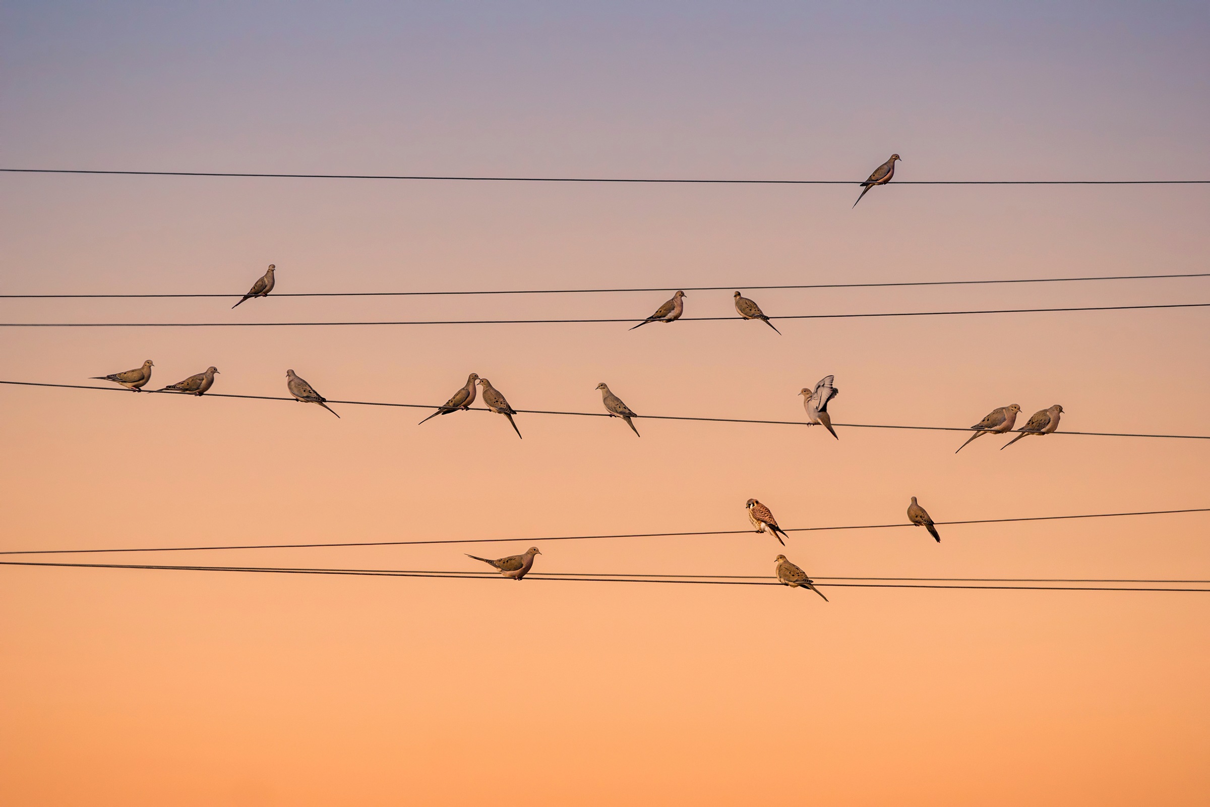 Papermoon Fototapete »Photo-Art JOHN FAN, MUSIK DES LICHTS«