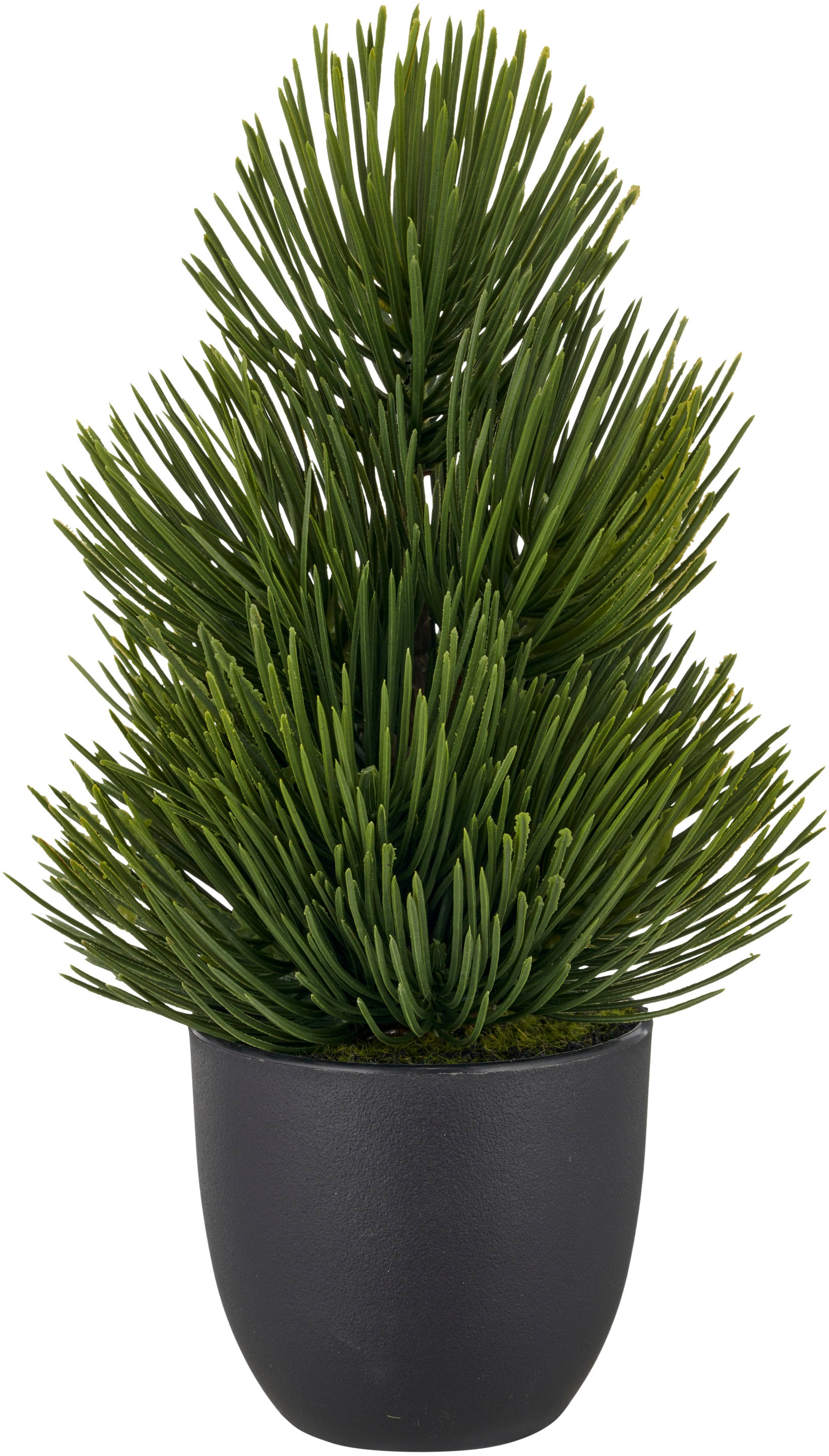 Creativ green Winterliche Kunstpflanze »Kiefernbäumchen« mit detalgetreuem Nadelwerk