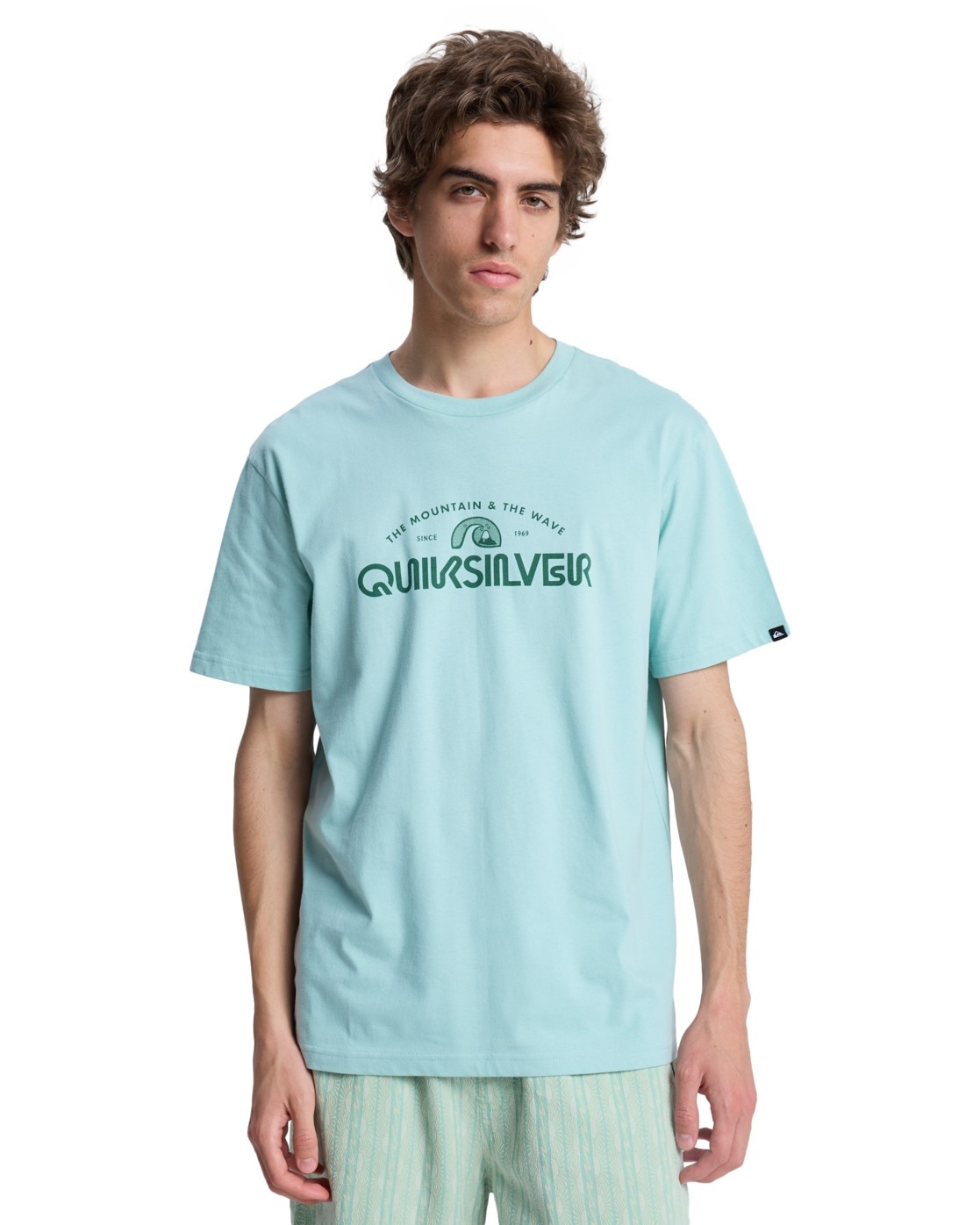 Quiksilver T-Shirt »EV Vista«