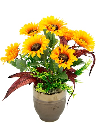 I.GE.A. Gestecke »Sonnenblumen«, Im Topf aus Keramik kaufen
