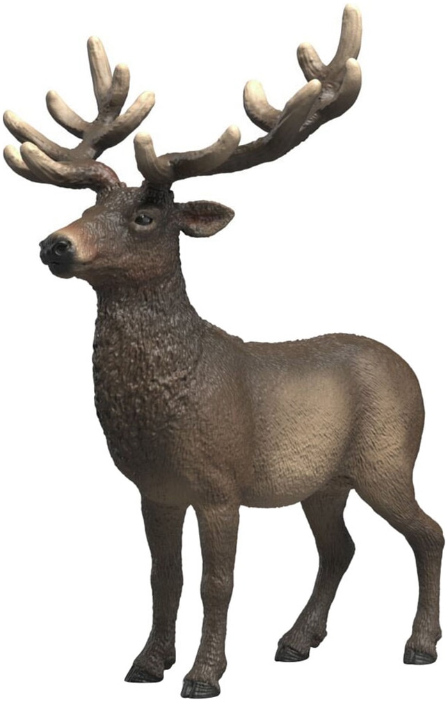 Schleich® Spielfigur »WILD LIFE, Amerikanischer Rothirsch (14992)«