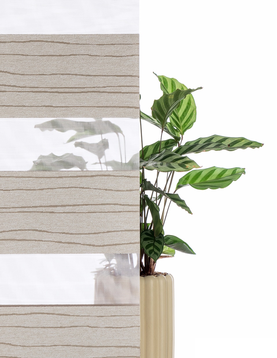 my home Doppelrollo »PAGELLA«, Lichtschutz, Blendschutz-Sichtschutz-Verdunkelung, ohne Bohren, freihängend, mit eingewebten Chenillefäden NEUHEIT!
