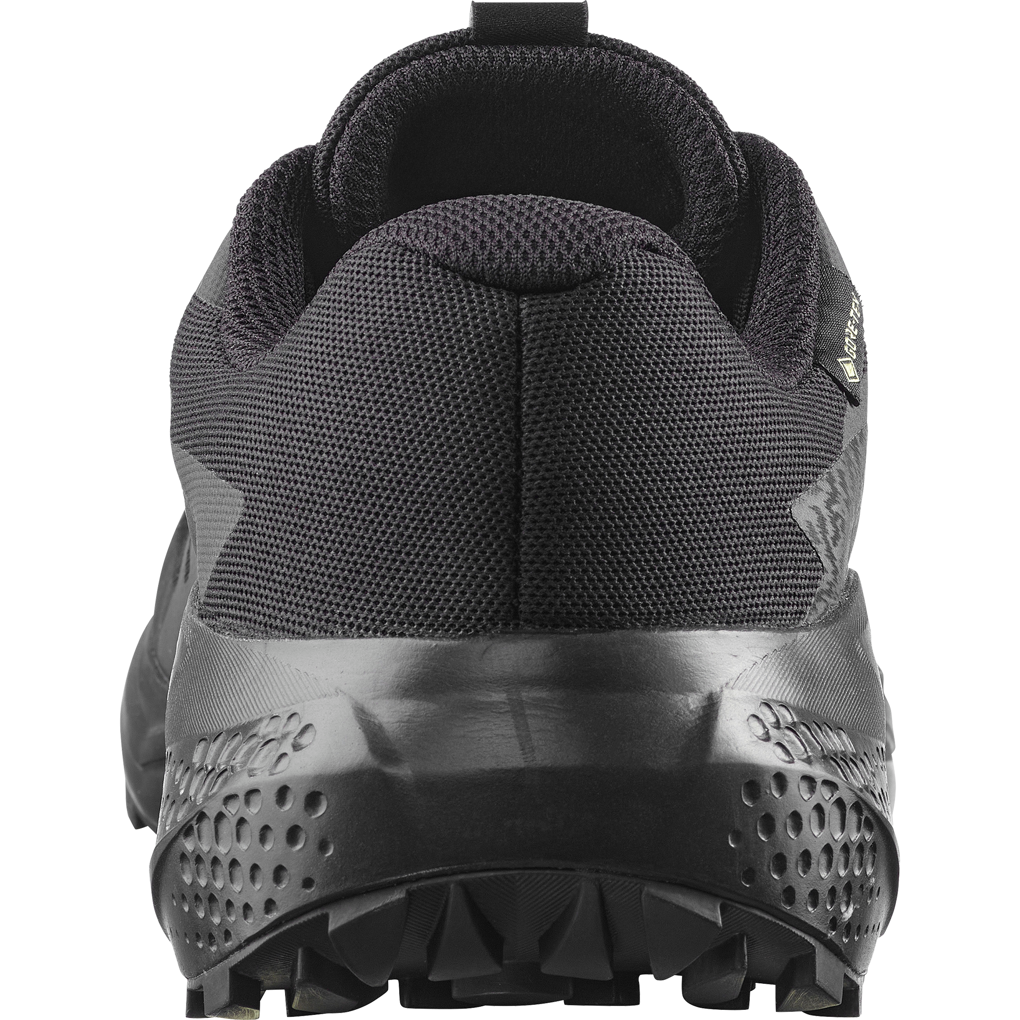 Salomon Trailrunningschuh »ALPHAGLIDE GORE-TEX® W«  wasserdicht