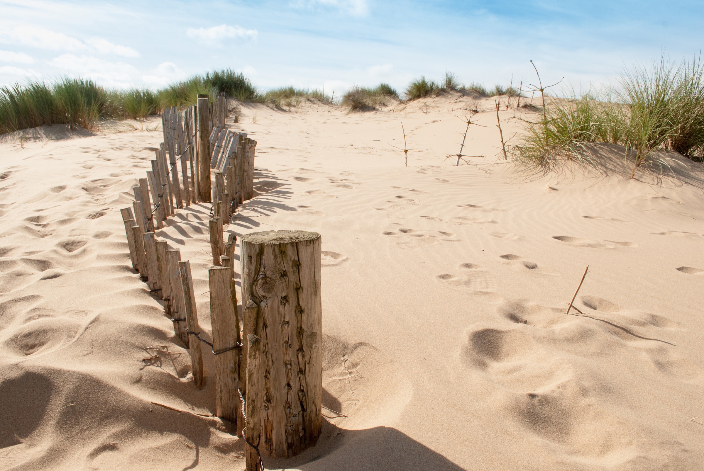 Papermoon Fototapete »Dunes Sandy Beach«