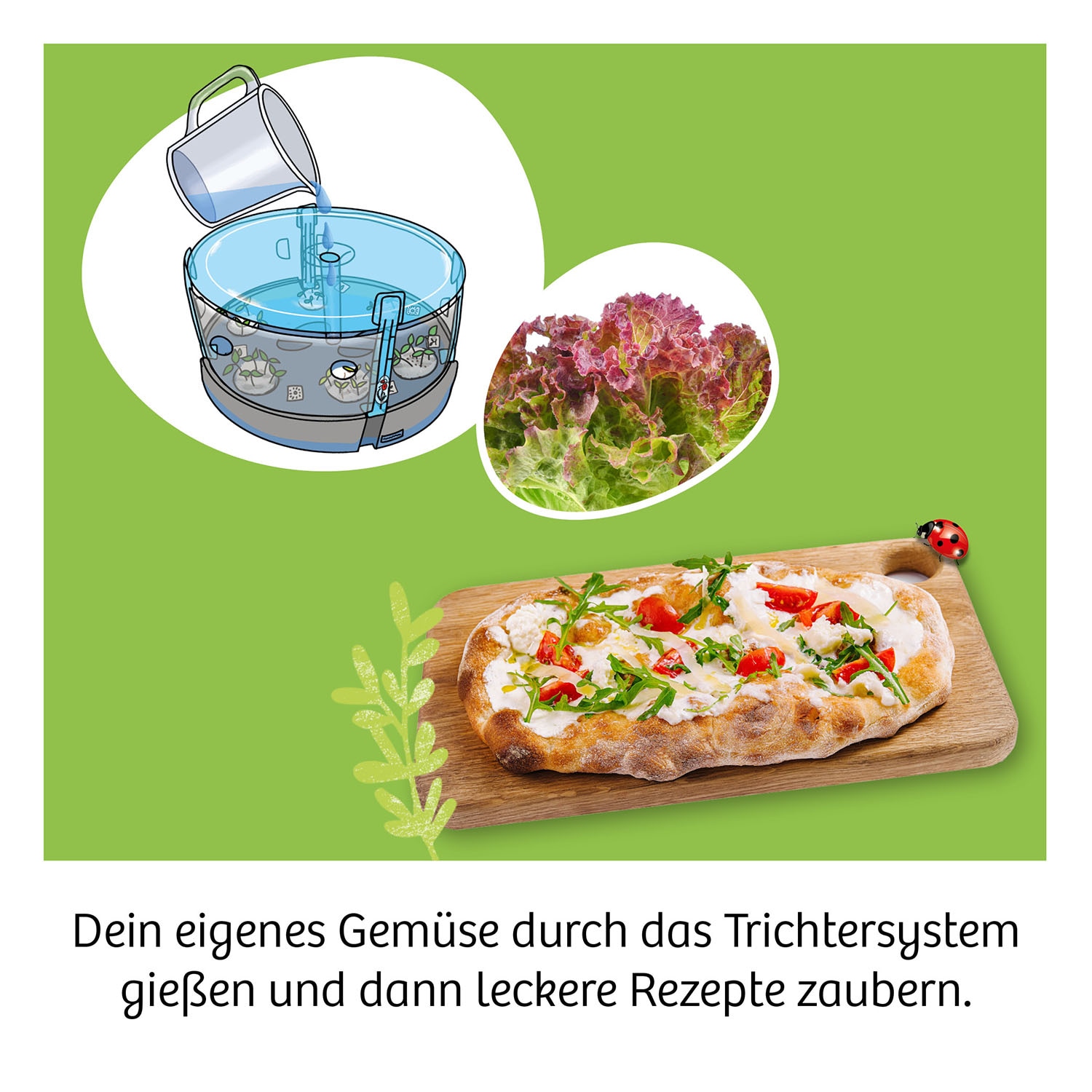 Kosmos Experimentierkasten »Hydro-Garten« Made in Germany