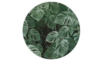 Vliestapete »Novel Monstera«, 125x125 cm (Breite x Höhe), rund und selbstklebend