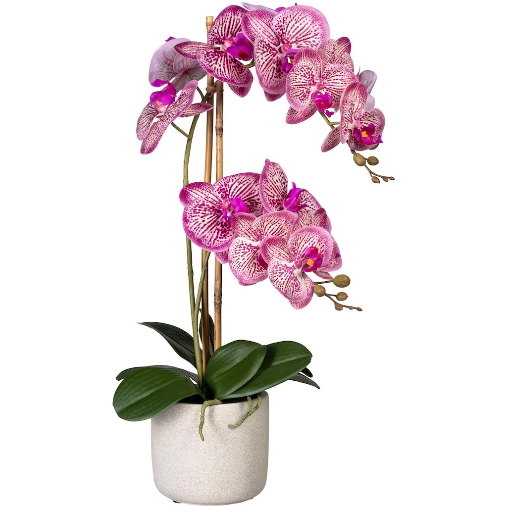 Creativ green Kunstorchidee »Phalaenopsis«