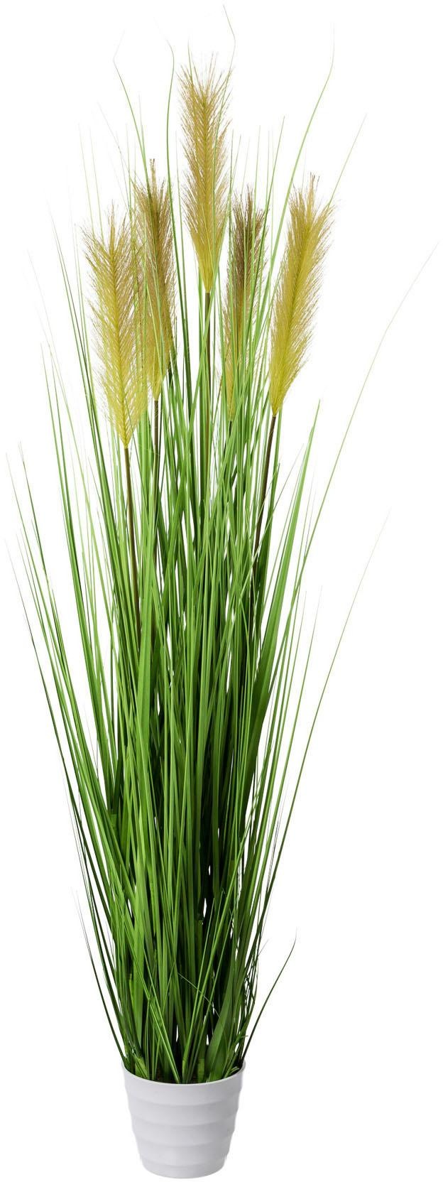 Creativ Green Kunstgras in grün, Größe B/H/L: 145 cm