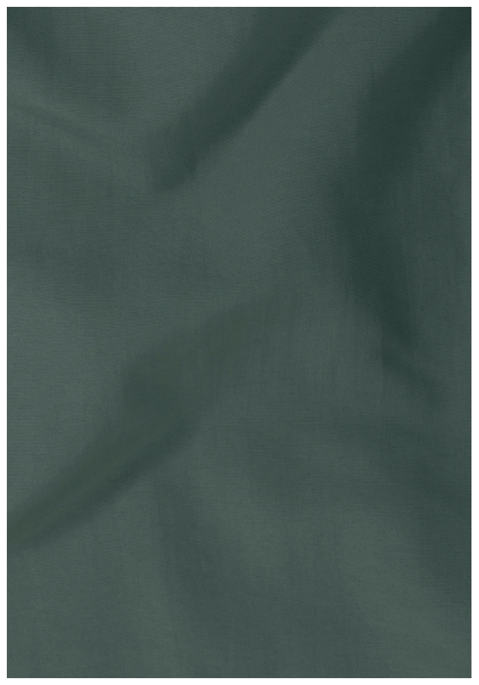 Jack Wolfskin Shorts »DUNELAND SHORTS M«