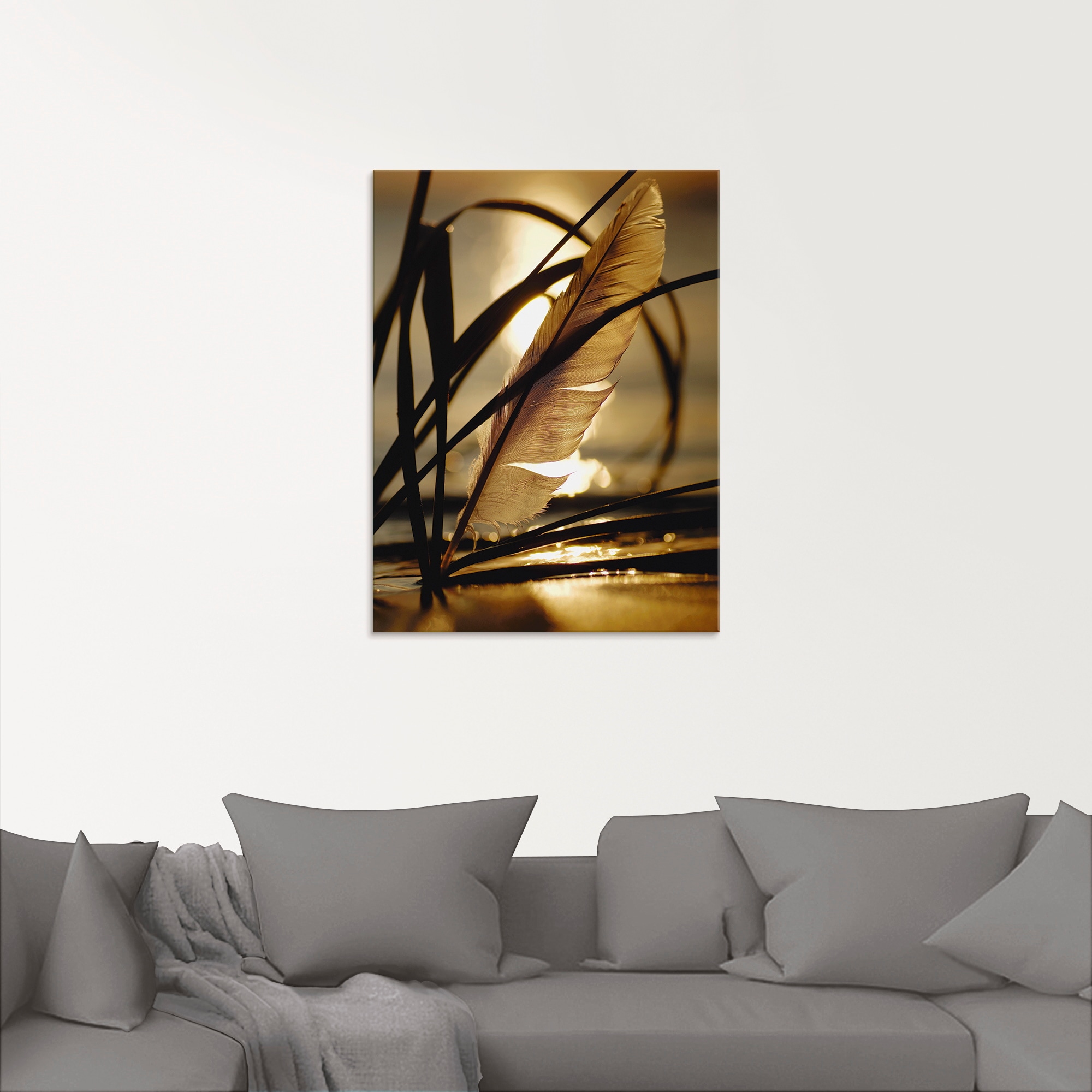 Artland Glasbild »Feder im Abendlicht«, Gräser, (1 St.), in verschiedenen Größen