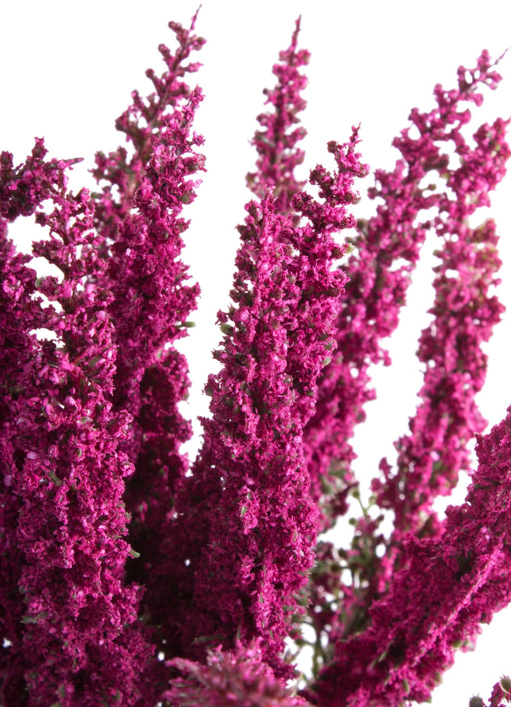 Botanic-Haus Kunstblume »Erika in braunem Kunstofftopf«