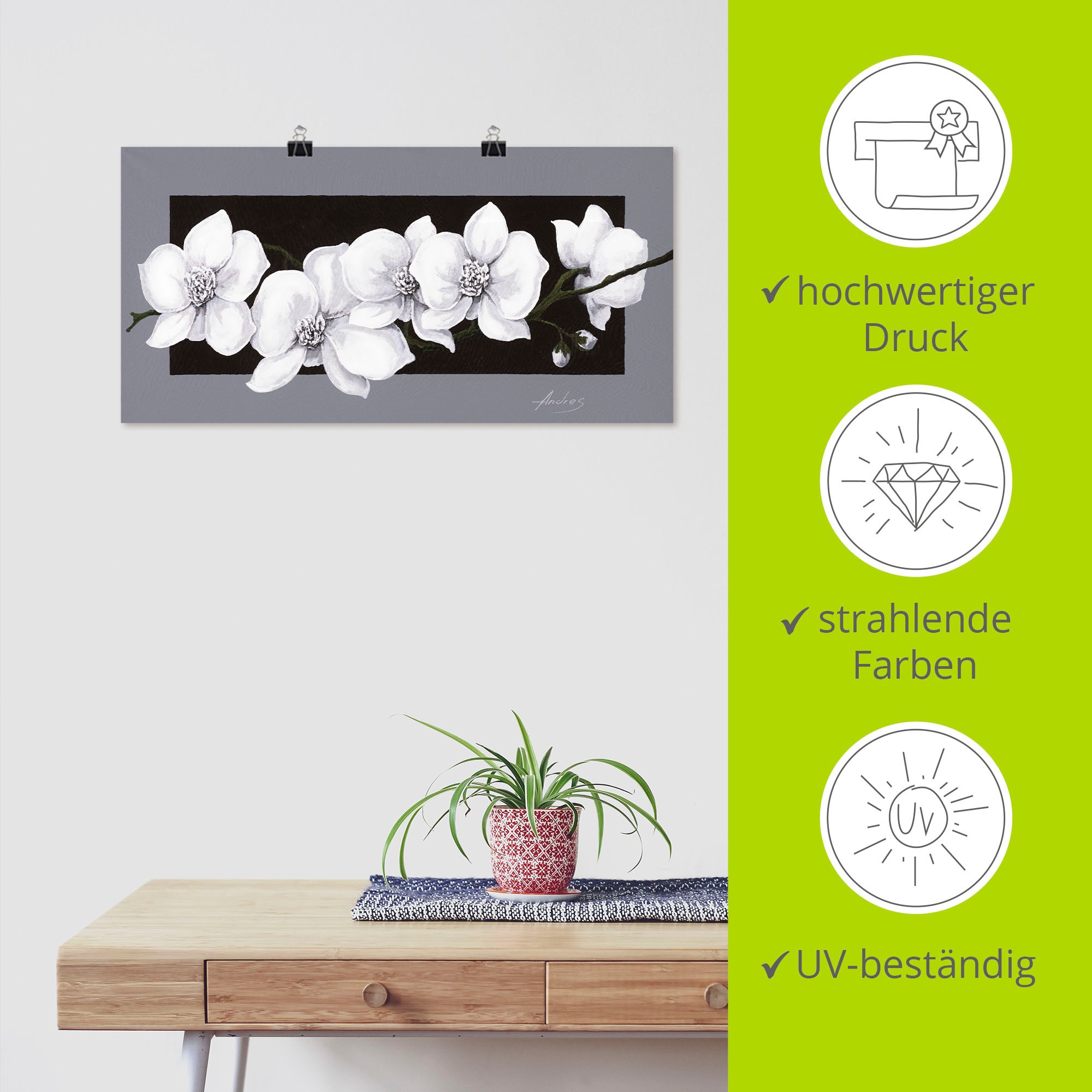 Artland Wandbild »Weiße Orchideen auf grau« Blumen 1 Stk. tlg. als Alubild, Leinwandbild, Poster in verschied. Größen