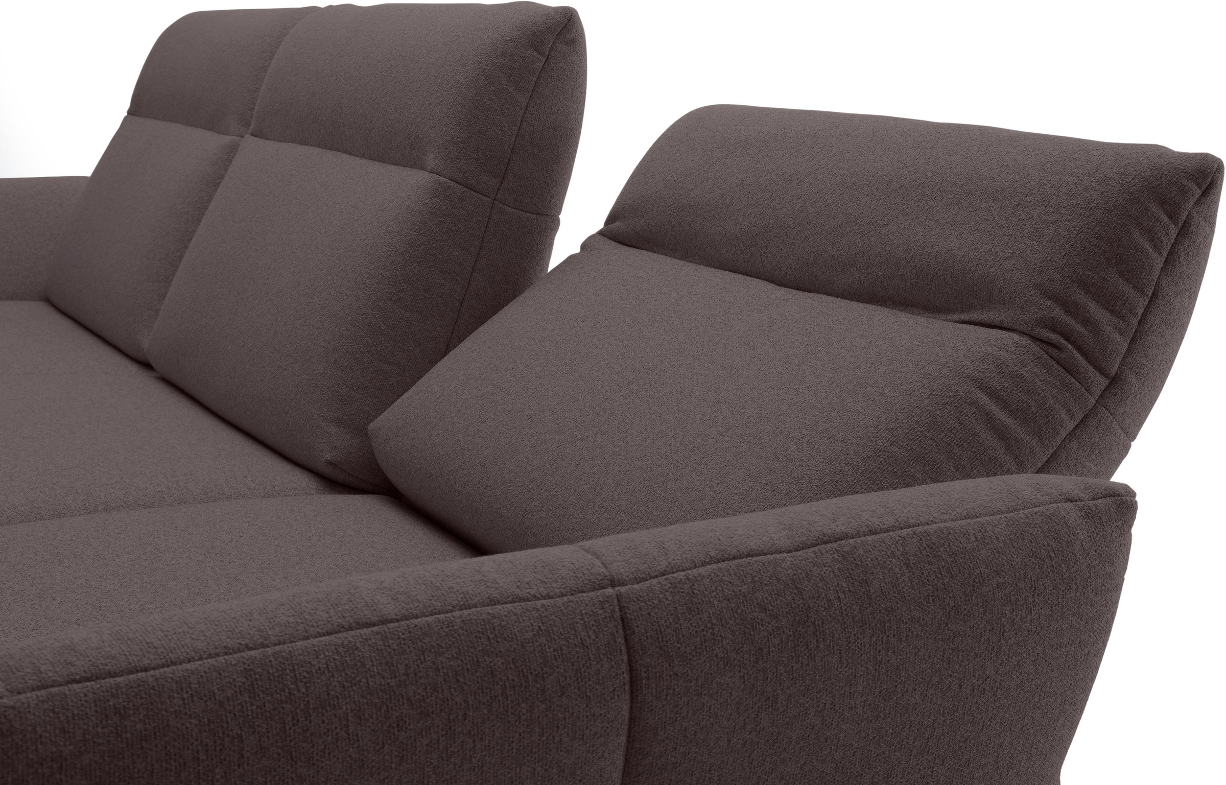 Creation BY ROLF BENZ Ecksofa »CR.460« Sockel in Eiche, Winkelfüße in Umbragrau, Breite 338 cm