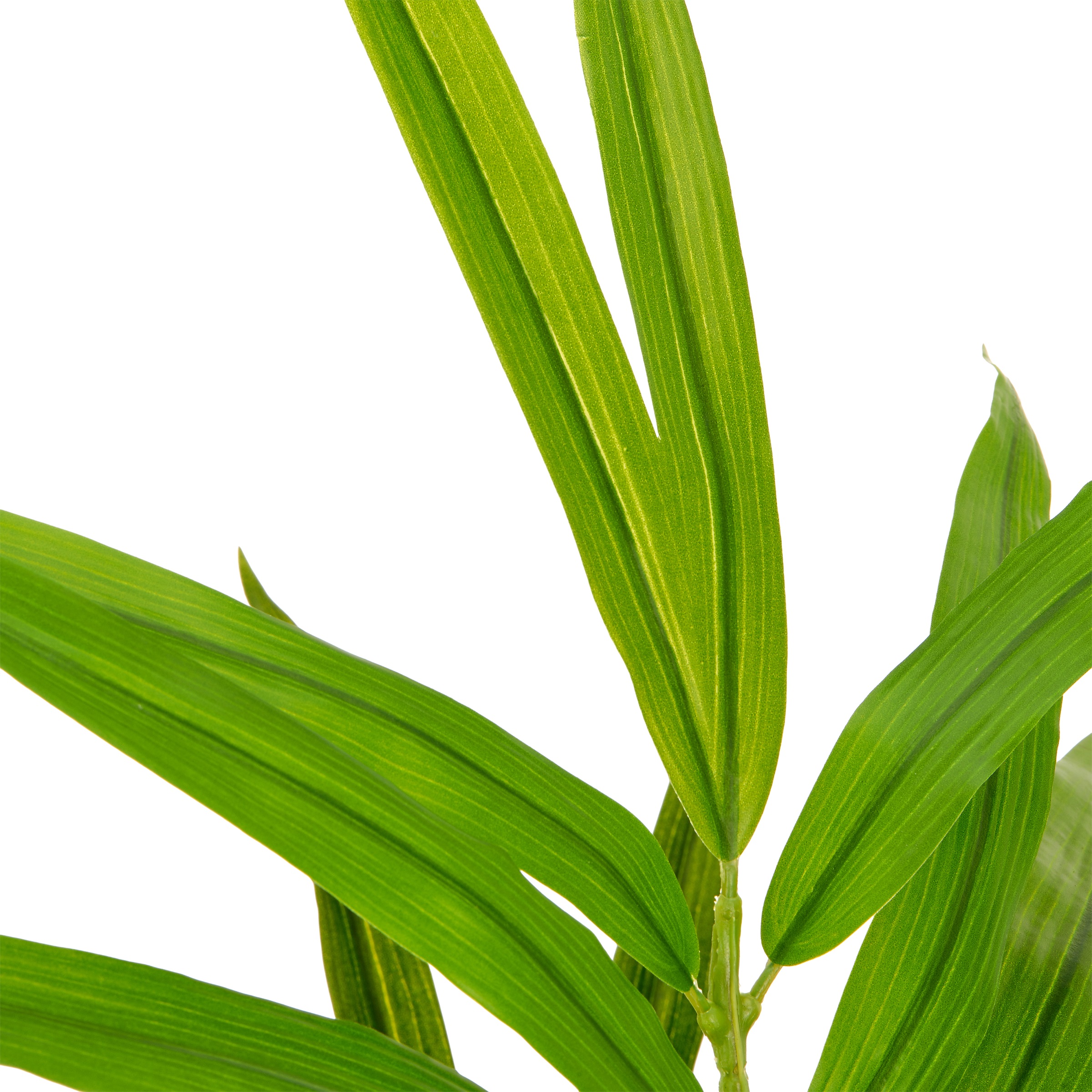 Creativ green Kunstpalme »Kentiapalme« mit naturgetreuen Palmwedeln