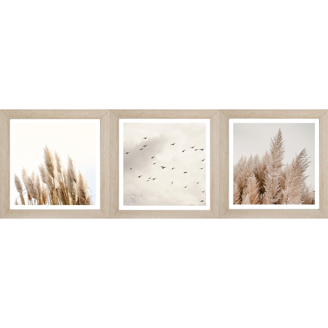Bönninghoff Bild mit Rahmen, Gräser-Blumen, (Set, 3 St.), BxH: 23x23 cm  bestellen online bei OTTO