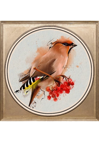 Acrylglasbild »Bunter Vogel I«