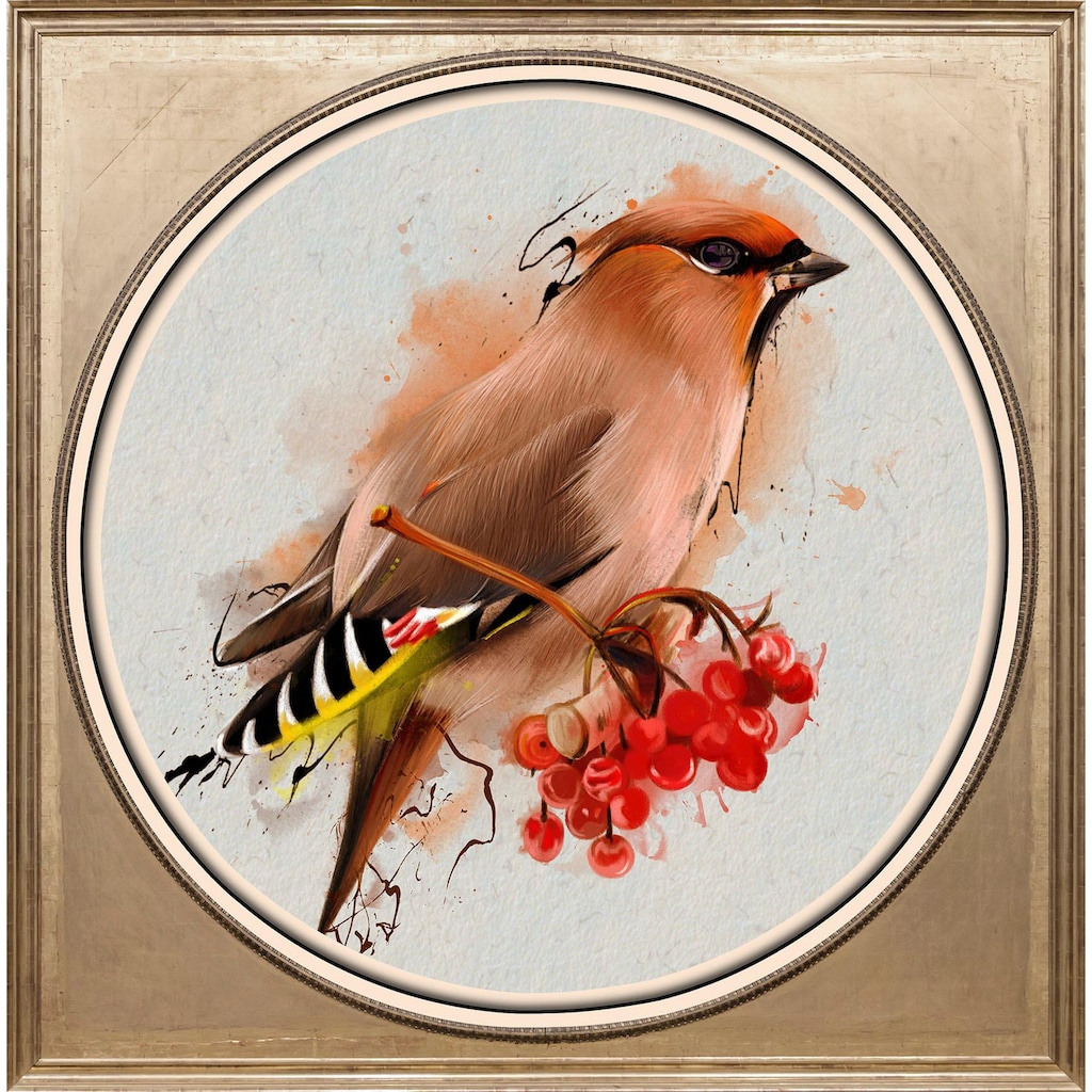 queence Acrylglasbild »Bunter Vogel I«