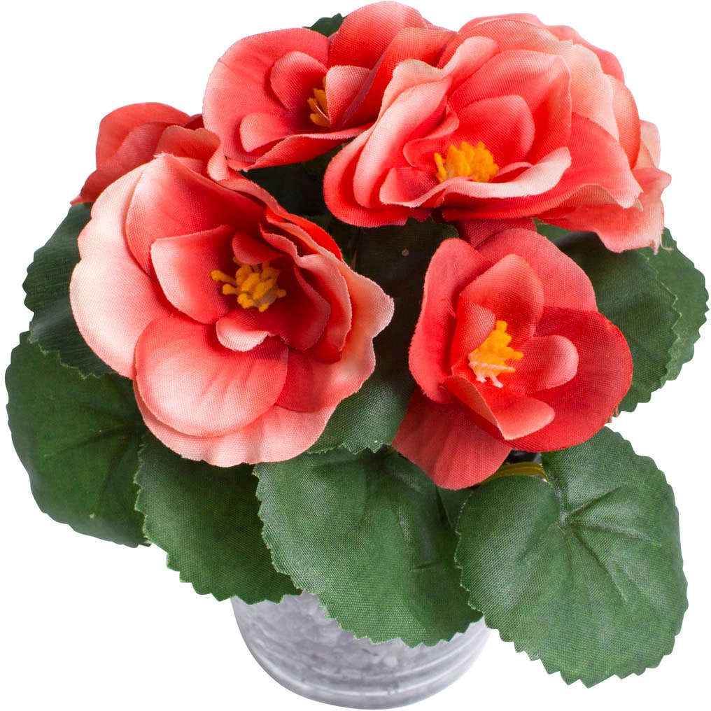 Botanic-Haus Kunstblume »Frühlingsblume«, (Set, 2 kaufen Shop Online im OTTO St.)