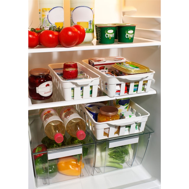 Ruco Organizer, (Set, 6 St.), für den Kühlschrank, Kunststoff bestellen  online bei OTTO