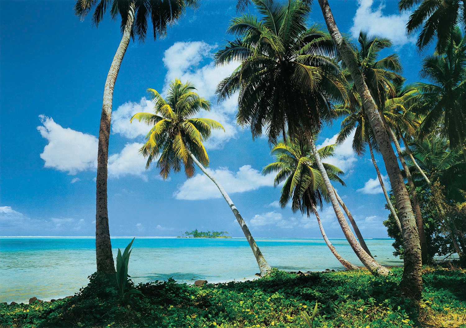 Papermoon Fototapete »Tahiti«