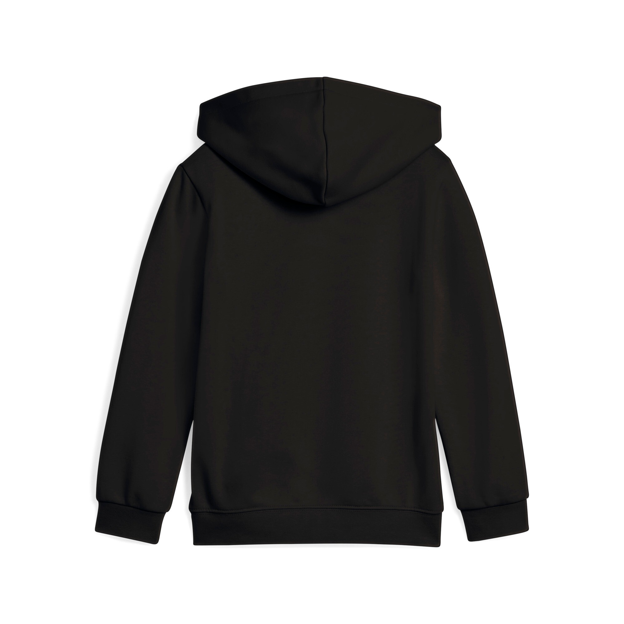 PUMA Kapuzensweatshirt »SUPER HOODIE PS«