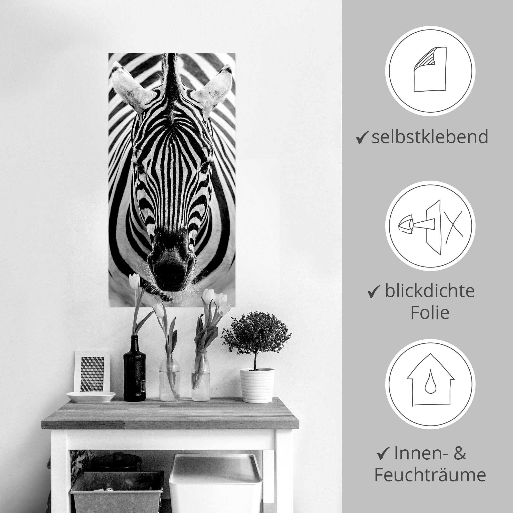 Artland Wandbild »Zebra«, Wildtiere, (1 St.), als Leinwandbild, Poster, Wandaufkleber in verschied. Größen