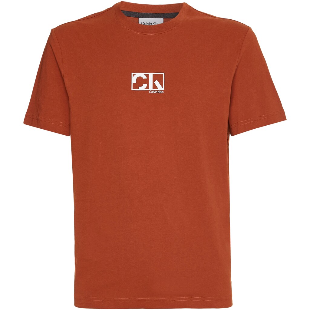 Calvin Klein T-Shirt »GRAPHIC BOX LOGO T-SHIRT«